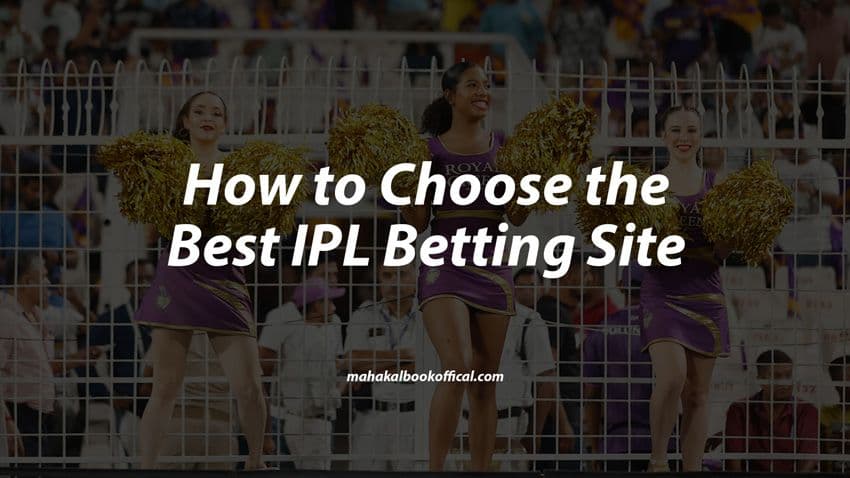 How to Choose the Best IPL Betting Site
